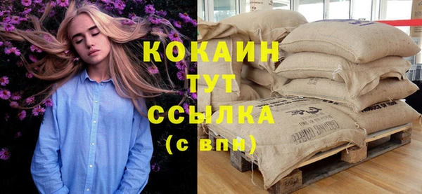 ПСИЛОЦИБИНОВЫЕ ГРИБЫ Абаза