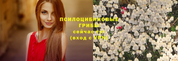 apvp Абдулино